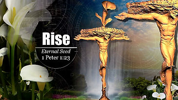 RISE - Eternal Seed